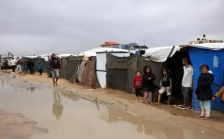 الاحتلال يوسع جرائمه في غزة .. والبرد القارس يقتل النازحين