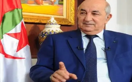 تبون: فرنسا تضرب استقرار الجزائر