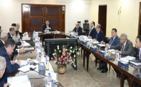 وزير الزراعة: إيراد الإصلاح الزراعى يتجاوز 650 مليون جنيه فى 6 أشهر