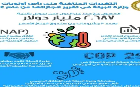 وزيرة البيئة : حصول مصر على تمويل لعدد ٣ مشروعات من صندوق المناخ الأخضر أحد الإنجازات الهامة خلال العام