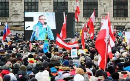 بدء جولة جديدة من مفاوضات تشكيل الحكومة النمساوية