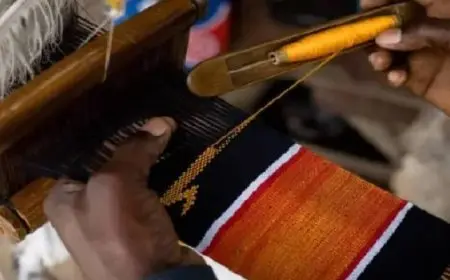 اليونسكو تدرج الزخرفة الباريسية والتفاح المخمر الإسبانى في قائمة التراث غير المادي