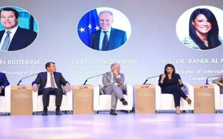 المشاط: 4.2 مليار دولار تمويلات مُيسرة من المؤسسات الدولية للقطاع الخاص في مصر