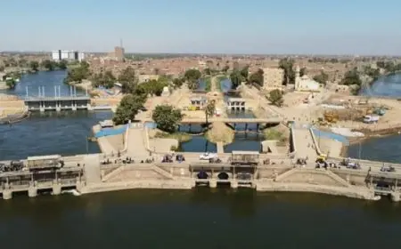 حصاد 2024.. منظومة جديدة للري ومشروعات تنموية تواجه التحديات المائية