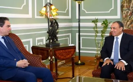 وزير الخارجية يناقش رئيس الهيئة الوطنية للإعلام أهمية دور الإعلام الوطني بالمرحلة الحالية