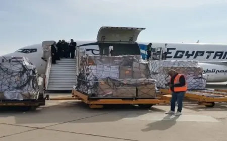 بال وال ..طائرة مساعدات مصرية تصل دمشق على متنها 15 طنًا من المواد الطبية والإغاثية