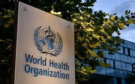 الصحة العالمية: 7% من سكان قطاع غزة استشهدوا أو أصيبوا بجراح منذ أكتوبر 2023