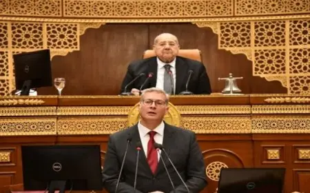 وزير البترول: نسعى لزيادة مساهمة قطاع التعدين إلى 6% في الناتج المحلي