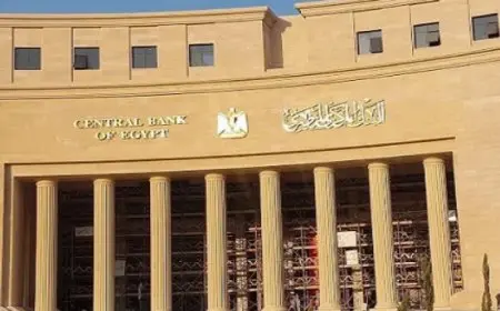 البنك المركزي المصري يطرح أذون خزانة بقيمة 65 مليار جنيه