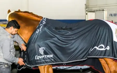 وزير الرياضة: مشاركة مصر بالبطولة الدولية للفروسية إنجاز كبير وغير مسبوق