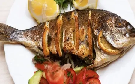 فوائد السمك للأطفال.. تعزيز القوة والتركيز