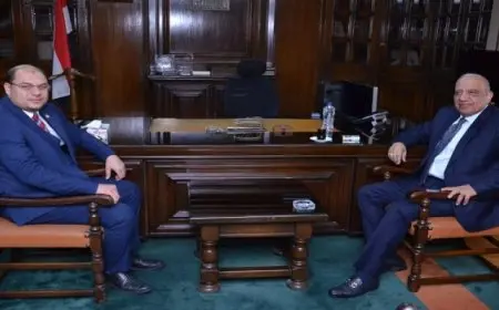 وزير الكهرباء: الرئيس السيسي يتابع أعمال تنفيذ محطة الضبعة للانتهاء منها لتوليد الكهرباء