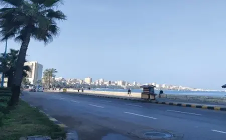 الأرصاد: طقس اليوم معتدل نهارا شديد البرودة ليلا على أغلب الأنحاء .. والعظمى بالقاهرة 21