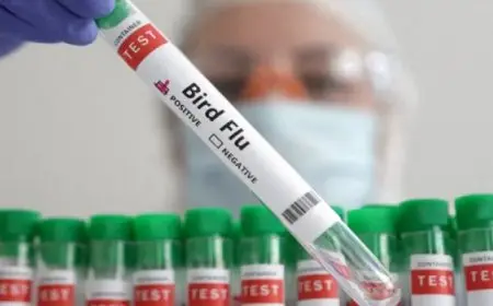 لويزيانا تسجل أول حالة وفاة مرتبطة بانفلونزا الطيور في الولايات المتحدة