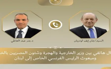 وزير الخارجية يؤكد مواصلة مصر ستواصل تقديم كافة أشكال الدعم للبنان