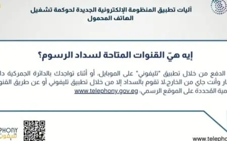 بالإنفوجراف.. آليات تطبيق المنظومة الإلكترونية الجديدة لحوكمة تشغيل الهاتف المحمول