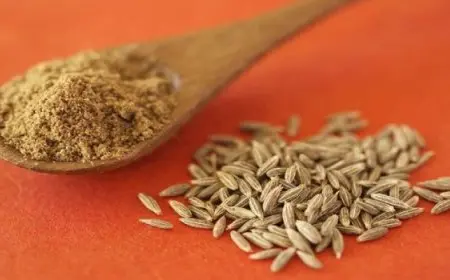 فوائد مذهلة للكمون على المعدة