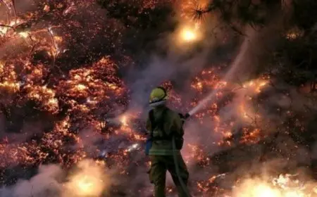 حاكم ولاية كاليفورنيا الأمريكية يعلن حالة الطوارئ بسبب حرائق الغابات