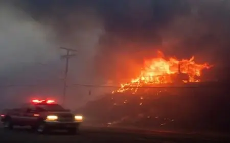 حرائق لوس أنجلوس تجبر مشاهير من هوليوود على ترك منازلهم