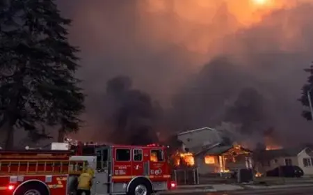 بايدن يعلن منطقة الحرائق في كاليفورنيا منكوبة ويأمر بتقديم مساعدات للمتضررين