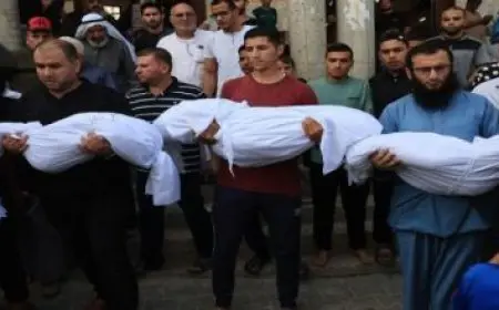 ايطاليا تستضيف اجتماعا أوروبيا أمريكيا حول الوضع في سوريا