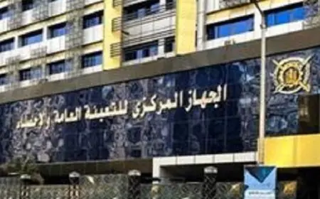 التعبئة والإحصاء تعلن تراجع معدل التضخم السنوي لشهر ديسمبر 2024