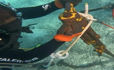 وزيرة البيئة تطلق المرحلة الأولى من مشروع صيانة وتركيب الشمندورات بمحمية رأس محمد