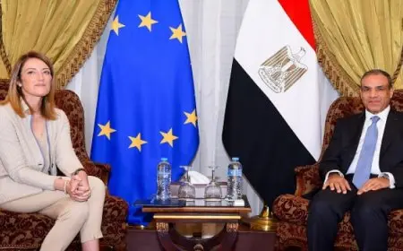 وزير الخارجية يبحث مع رئيسة البرلمان الأوروبي العلاقات الثنائية وأبرز القضايا الإقليمية