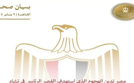 مصر تدين الهجوم الذي استهدف القصر الرئاسي في تشاد