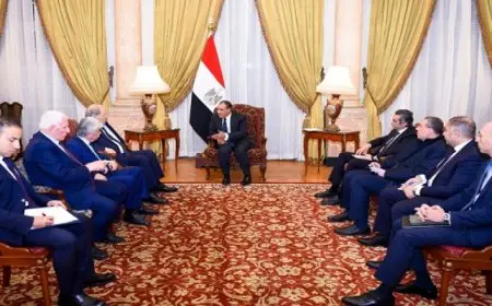 وزير الخارجية يشدد على موقف مصر الداعم للسلطة الفلسطينية ورفض مخططات تهجير الفلسطينيين