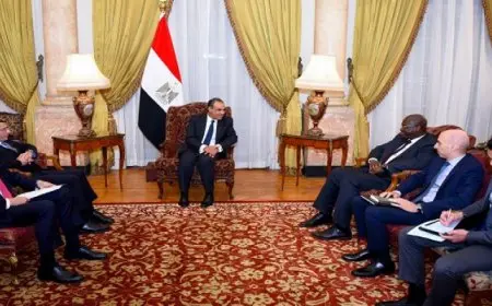 وزير الخارجية يستقبل رئيس وكالة الفضاء المصرية