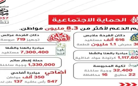 بالإنفوجراف.. صندوق تحيا مصر يعلن حصاد الخير لعام 2024