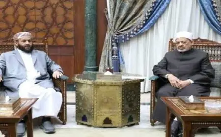 شيخ الأزهر: العالم أصبح متبلد الإحساس أمام المأساة الإنسانية الكبرى في غزة