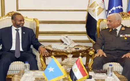 بال وال.. وزير الدفاع يبحث مع وزير الصومالي آخر التطورات على الساحتين الإقليمية والدولية