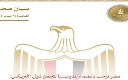 مصر ترحب بانضمام إندونيسيا لتجمع دول “البريكس”