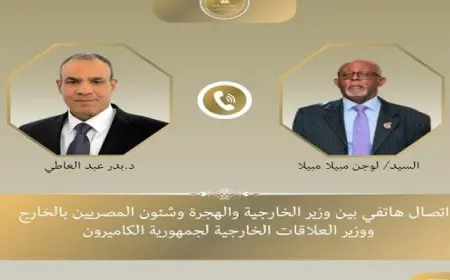 وزير الخارجية يبحث هاتفيا مع نظيره الكاميروني سبل تطوير العلاقات الثنائية