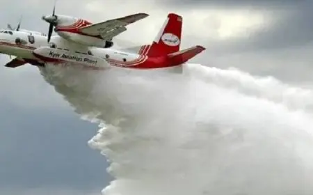 تصادم طائرة إطفاء بمسيرة في مجال جوي محظور بسبب حرائق غابات لوس أنجلوس