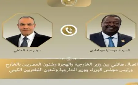 اتصال هاتفي بين وزير الخارجية والهجرة ونظيره الكيني