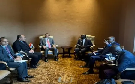 وزير الزراعة يبحث مع نظرائه الأفارقة تعزيز التعاون الزراعي والأمن الغذائي