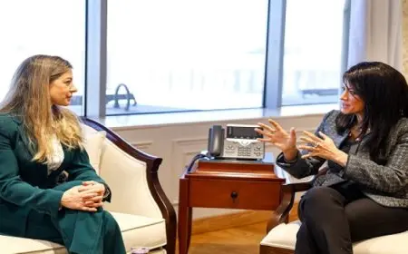 المشاط تبحث مع نائبة البرلمان الأوروبي المرحلة الثانية من آلية مساندة الاقتصاد الكلي بقيمة 4 مليارات يورو