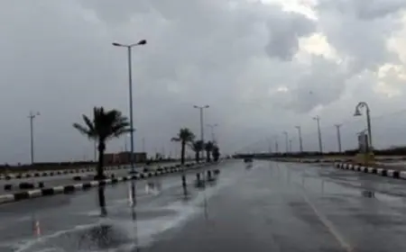 الأرصاد: غدا طقس معتدل نهارا شديد البرودة ليلا والصغرى بالقاهرة 11