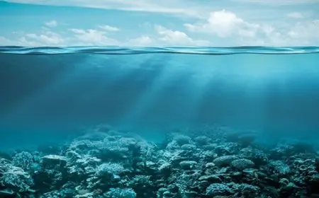 دراسة: محيطات العالم أكثر دفئا في عام 2024