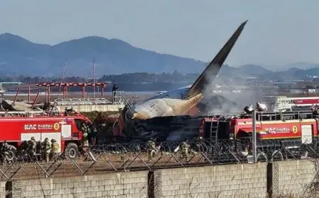 مفاجأة في تحطم طائرة كوريا الجنوبية .. الصندوقان الأسودان توقفا عن التسجيل قبل الحادث