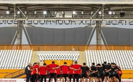 الأهلي في مهمة ترويض “الأفيال” وقطع تذكرة ربع نهائي دوري الأبطال