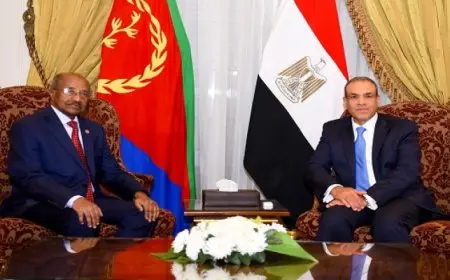 وزير الخارجية والهجرة يبحث تعزيز التعاون مع وزير خارجية إريتريا