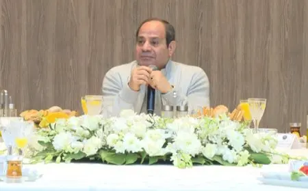 الرئيس السيسي: وضع برنامج ضخم لتهيئة مصر للانطلاق بمعايير الدولة الحديثة
