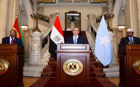 اللجنة الوزراية الثلاثية تصدر بيانا مشتركا