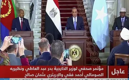 وزير الخارجية يؤكد على أهمية العلاقات بين مصر والصومال وإريتريا