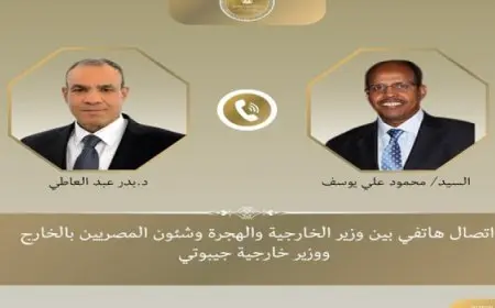 وزير الخارجية يؤكد عمق العلاقات التاريخية التي تجمع مصر وجيبوتي
