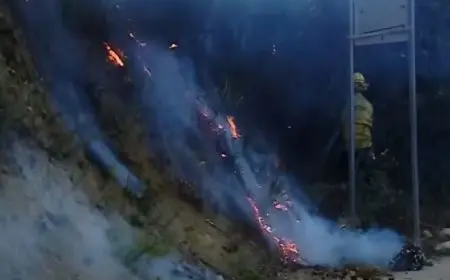 ارتفاع عدد ضحايا الحرائق في لوس أنجلوس بالولايات المتحدة إلى 16 قتيلا